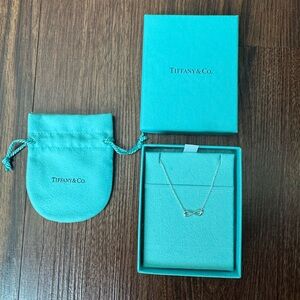 NWT Tiffany & Co. Silver Pendant Necklace